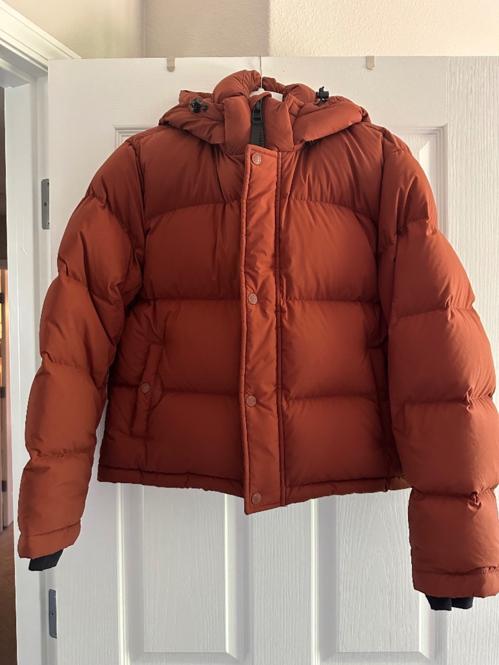 Aritzia Shortie Superpuff jacket